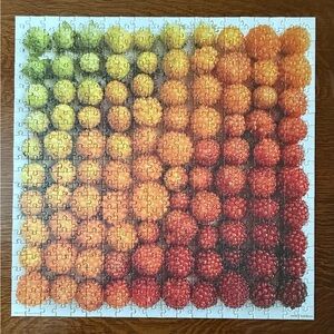 Genuine Fred Salmonberries Gradient 500 Piece Puzzle Complete by Emily Blincoe